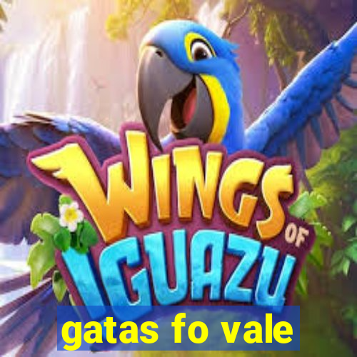 gatas fo vale